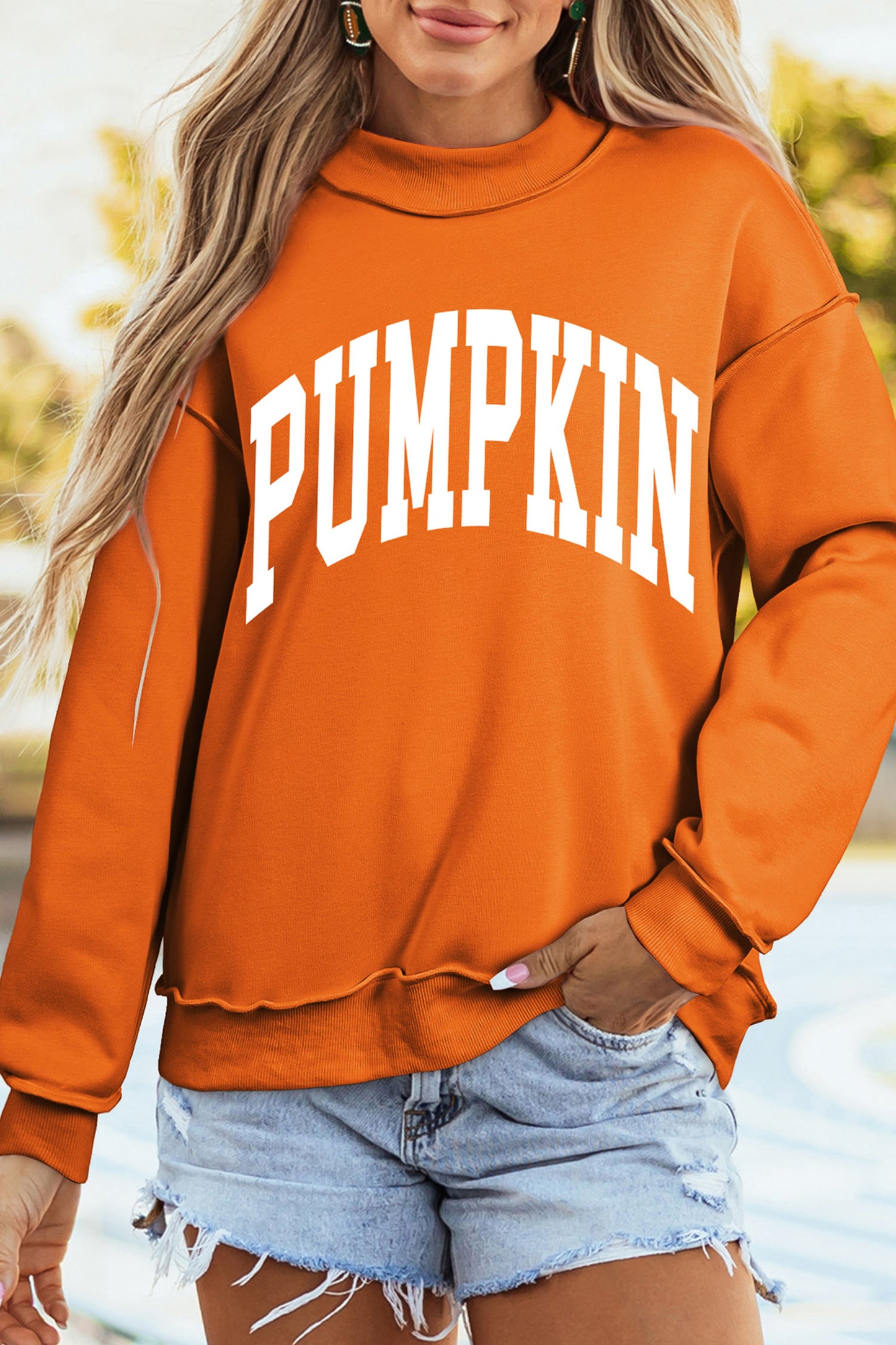 Pumpkin/Fall Pullover Sweatshirt