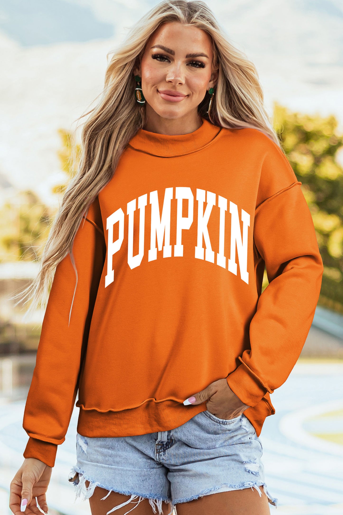 Pumpkin/Fall Pullover Sweatshirt