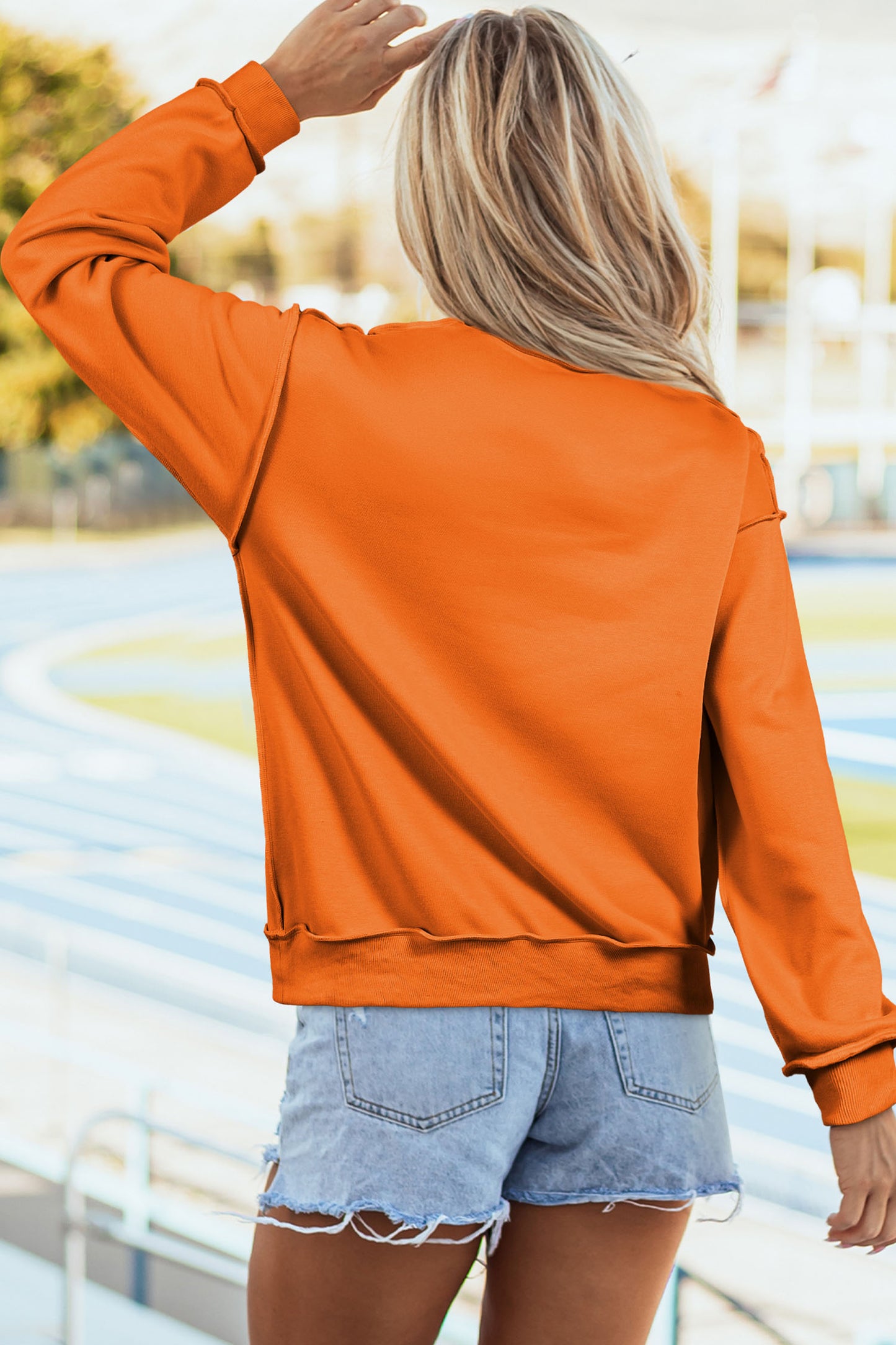 Pumpkin/Fall Pullover Sweatshirt