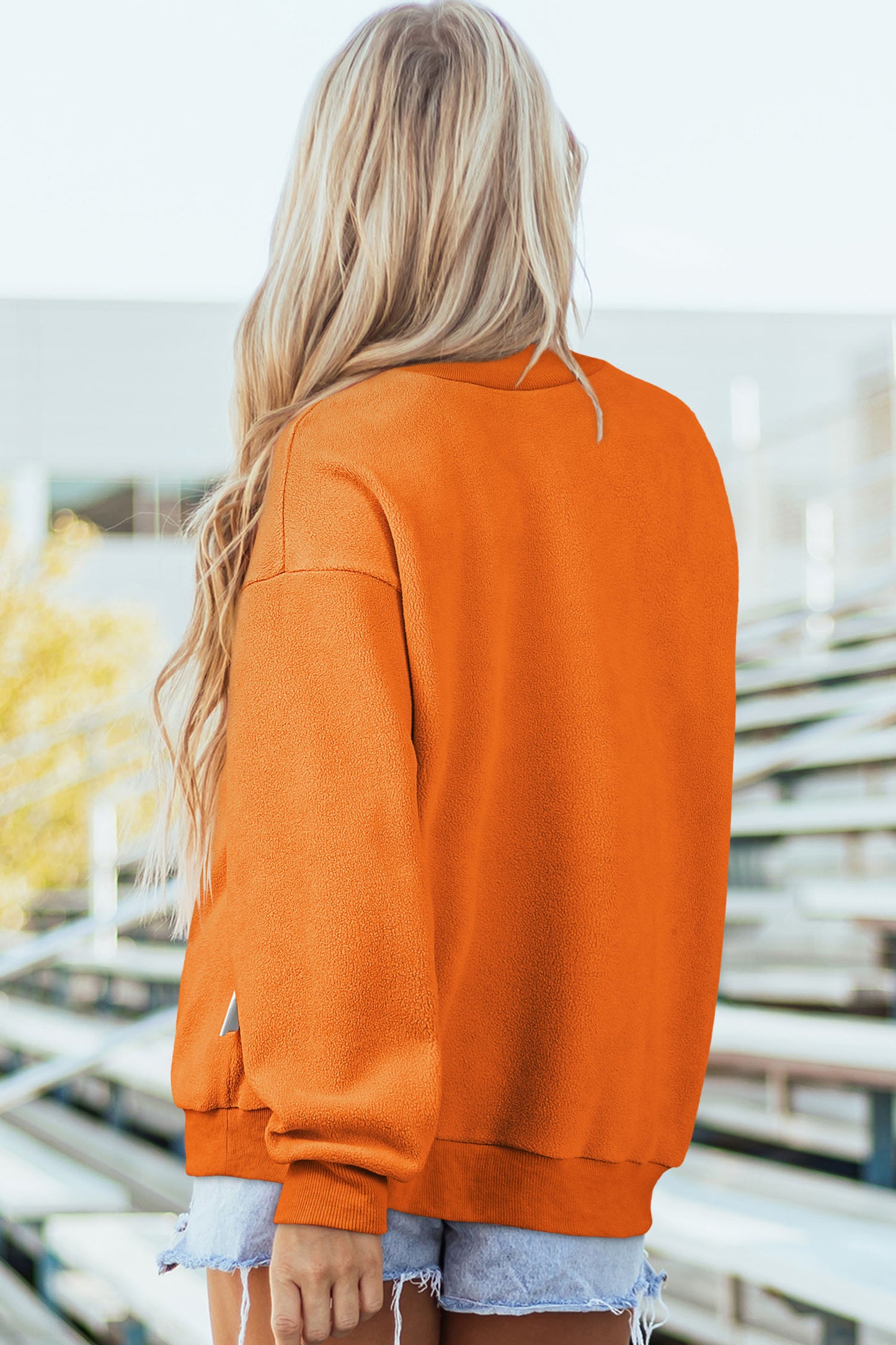 Pumpkin/Fall Pullover Sweatshirt