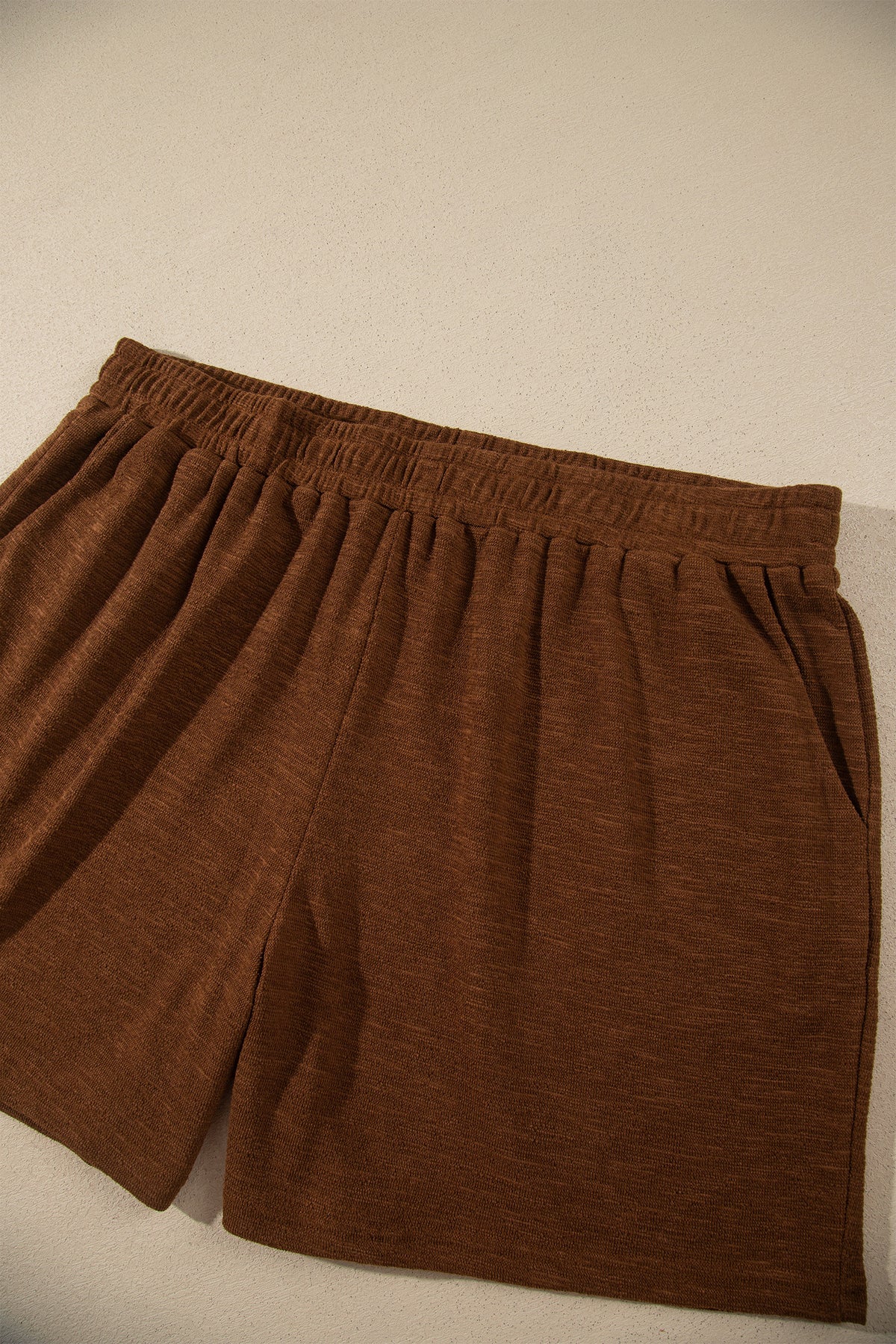 Long Sleeve Top Elastic Waist Shorts Plus Size Set