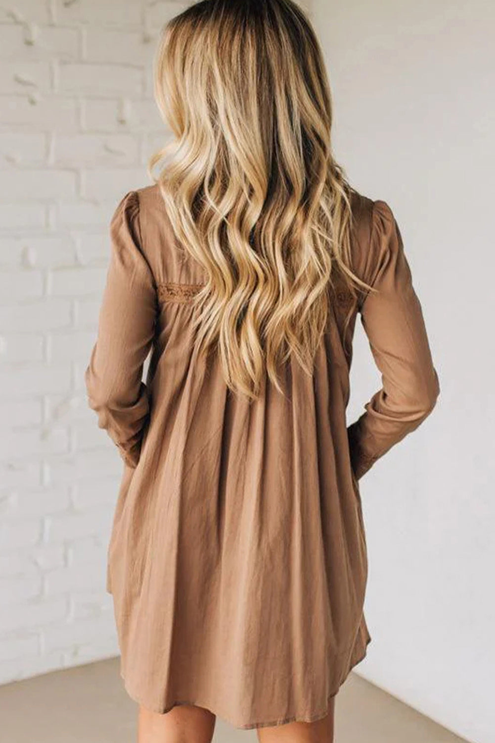 Peter Pan Collar Long Sleeve Mini Dress